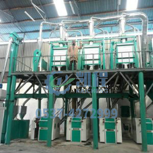 50T玉米粉生产线 